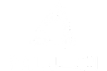 الرئيسية 4 2
