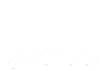 الرئيسية 2 5